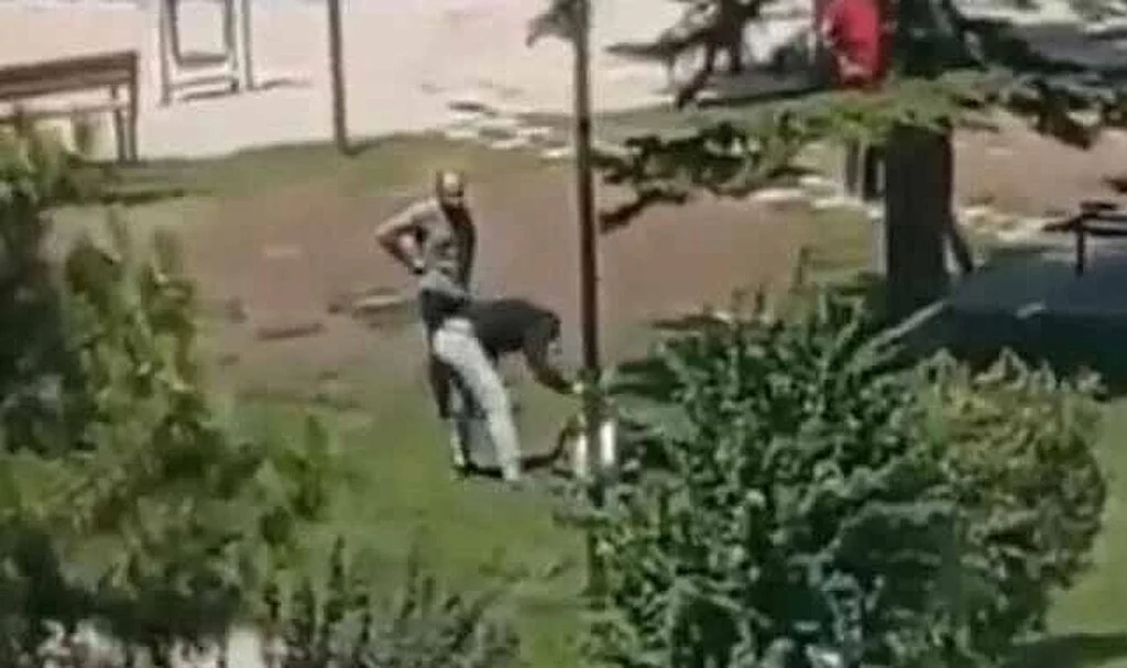 Parkta feci darp ve cinayet!