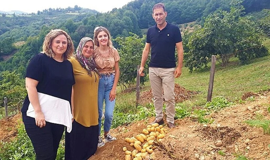 Samsun Büyükşehir Belediyesi'nden patates desteği