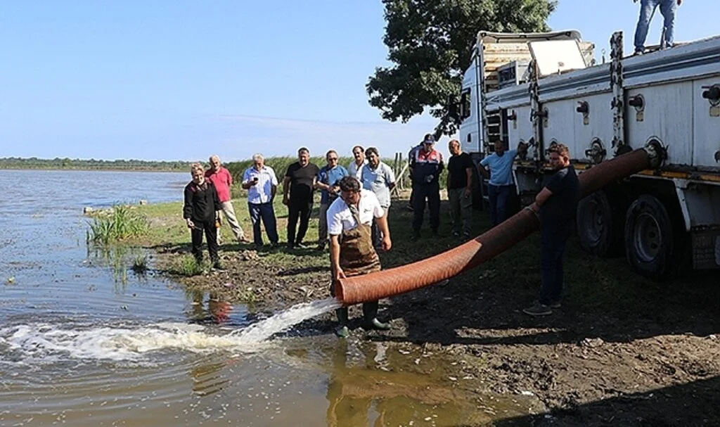 Samsun’da Baraj göllerine 2,5 milyon sazan yavrusu