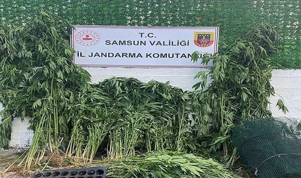  Samsun'da çok miktarda narkotik madde ele geçirildi