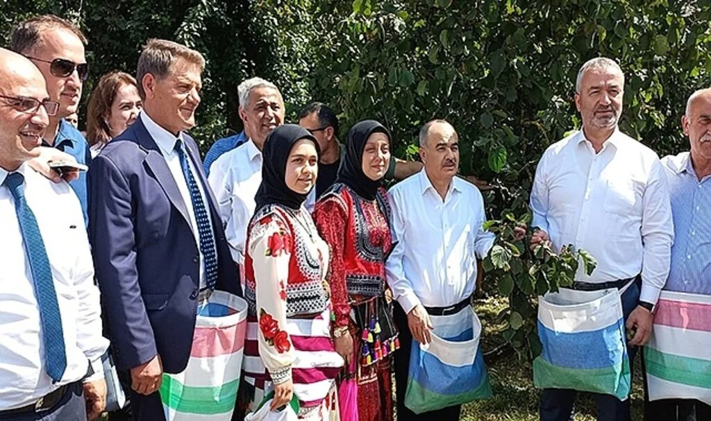 Samsun’da fındık hasat etkinliği: 112 bin 500 ton rekolte bekleniyor