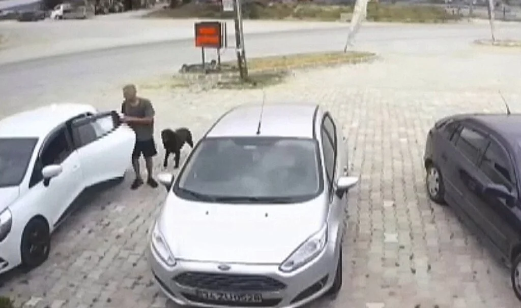 Şaşkına çeviren köpek hırsızlığı
