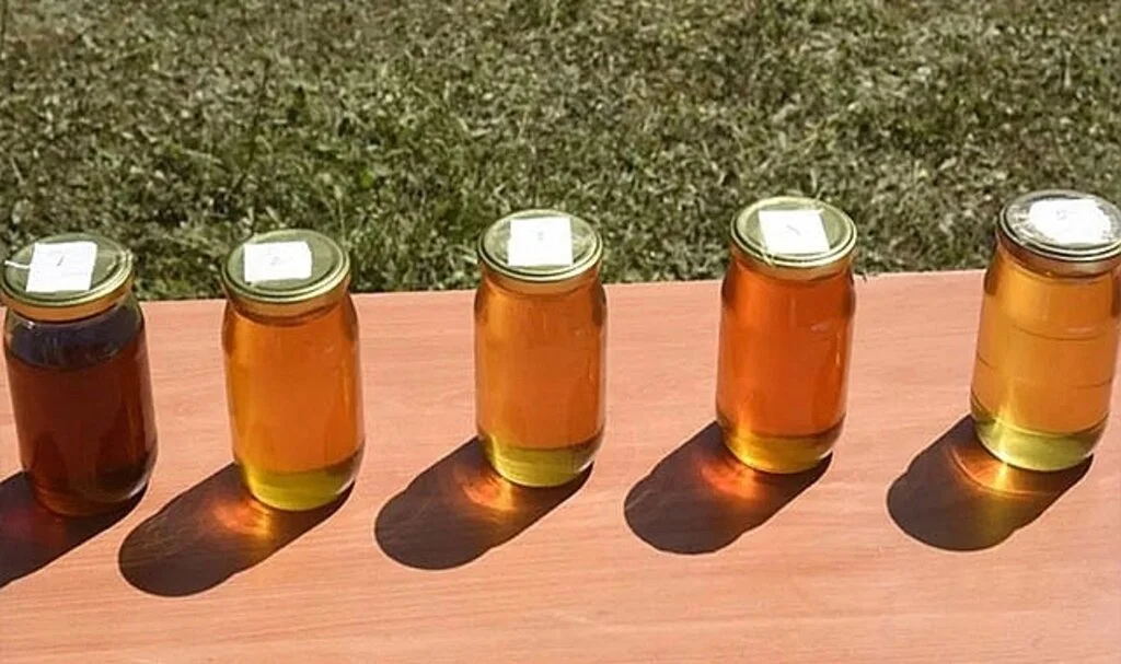 Satın alan 'bal ağası' seçildi: Kilogram fiyatı dudak uçuklattı