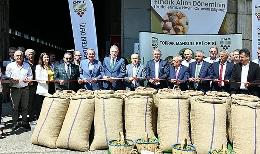 Sezonun ilk fındığı TMO tarafından 56 TL 10 kuruştan alındı