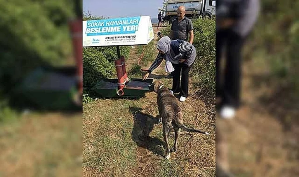 Sıcak Yaz Günlerinde İlkadım’dan Can Dostlarına Su ve Mama Takviyesi