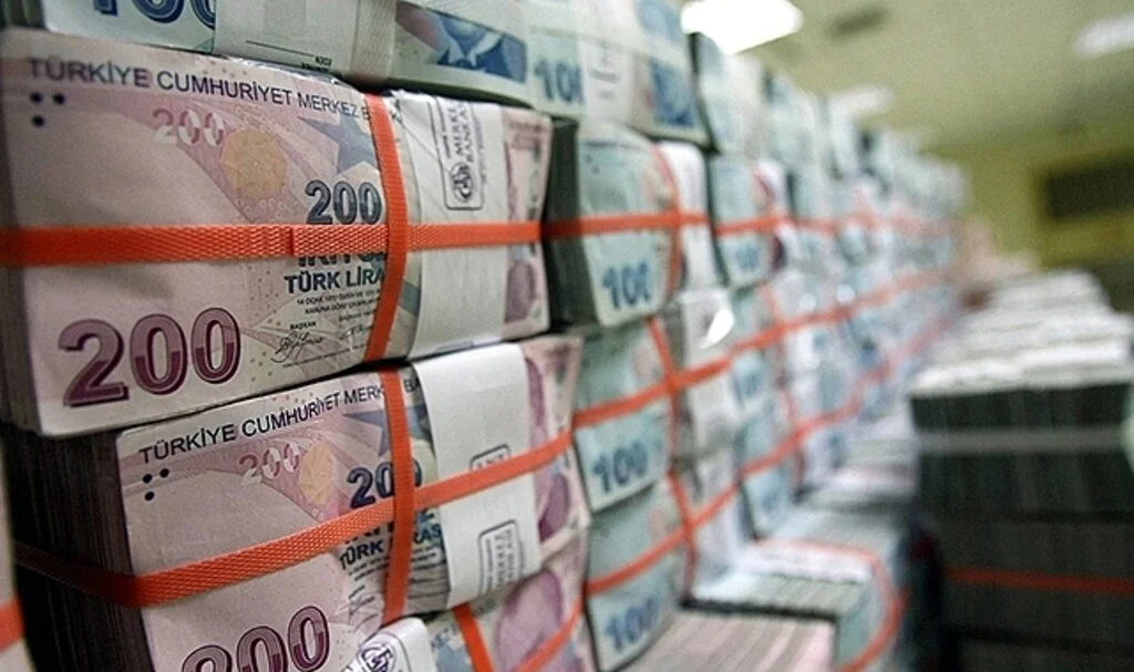 Sosyal ve Ekonomik Destek ödemeleri hesaplara yatırıldı
