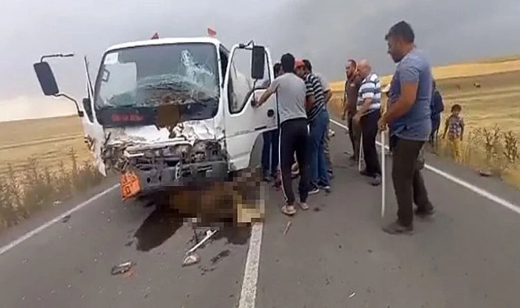 Sürücüsünün direksiyon hakimiyetini kaybettiği tanker, büyükbaş hayvan sürüsüne daldı: 18 hayvan telef oldu