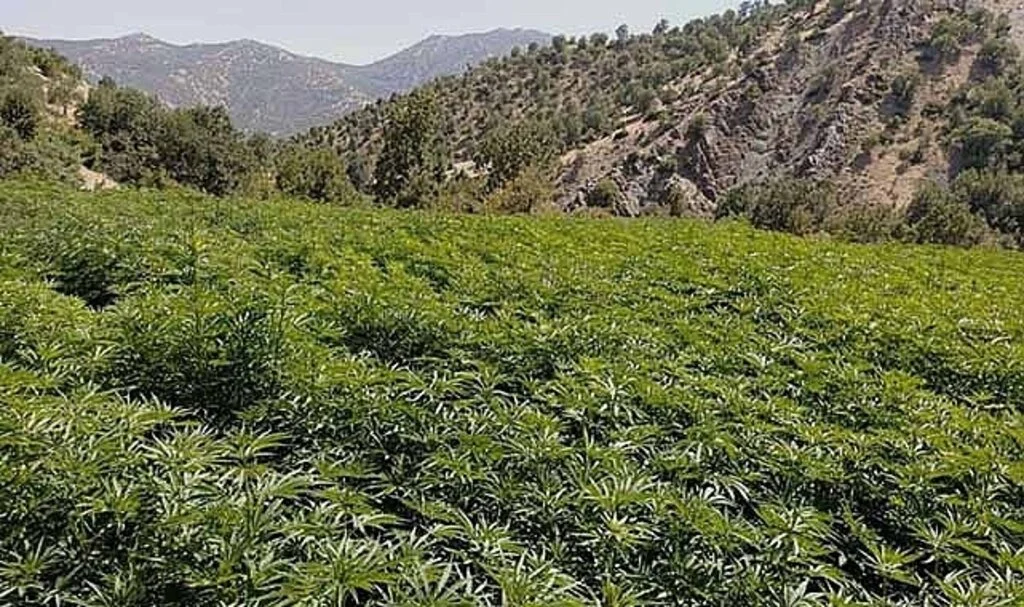 Terörün finansman kaynağı "ablukaya" alındı