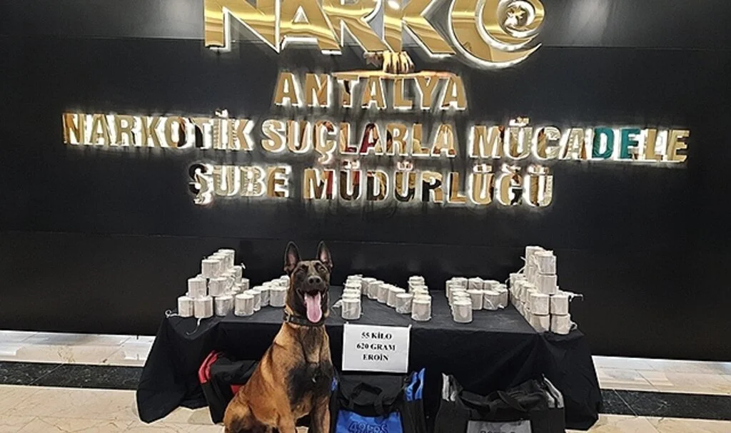 TIR'da 50 kilo uyuşturucu ele geçirildi