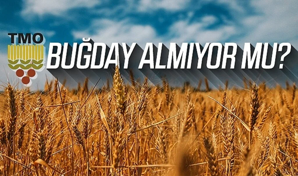 TMO buğday almıyor mu?