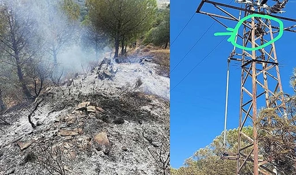 Trafoya çarpan şahin yangına sebep oldu