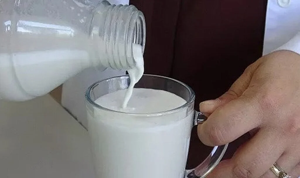 Türk araştırmacılar süte benzeyen ama süt olmayan süt üretti