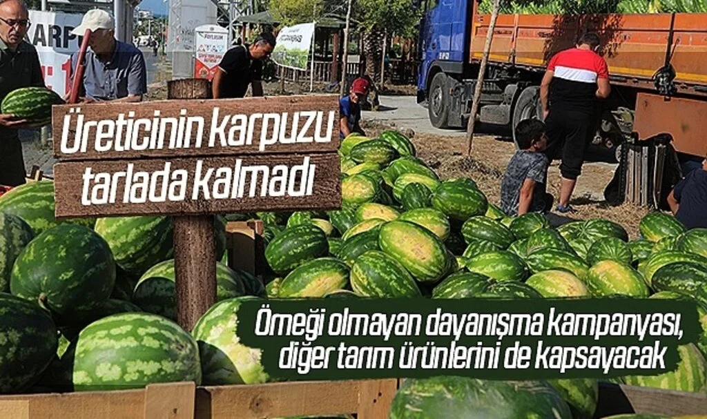 Üreticinin karpuzu tarlada kalmadı