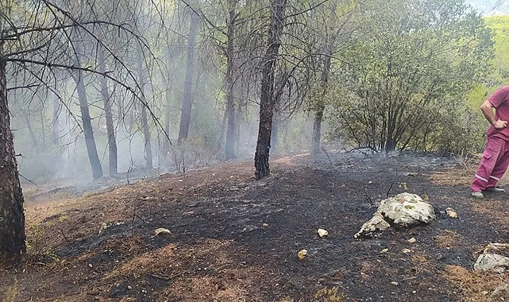 Yıldırım kaynaklı çıkan orman yangını söndürüldü