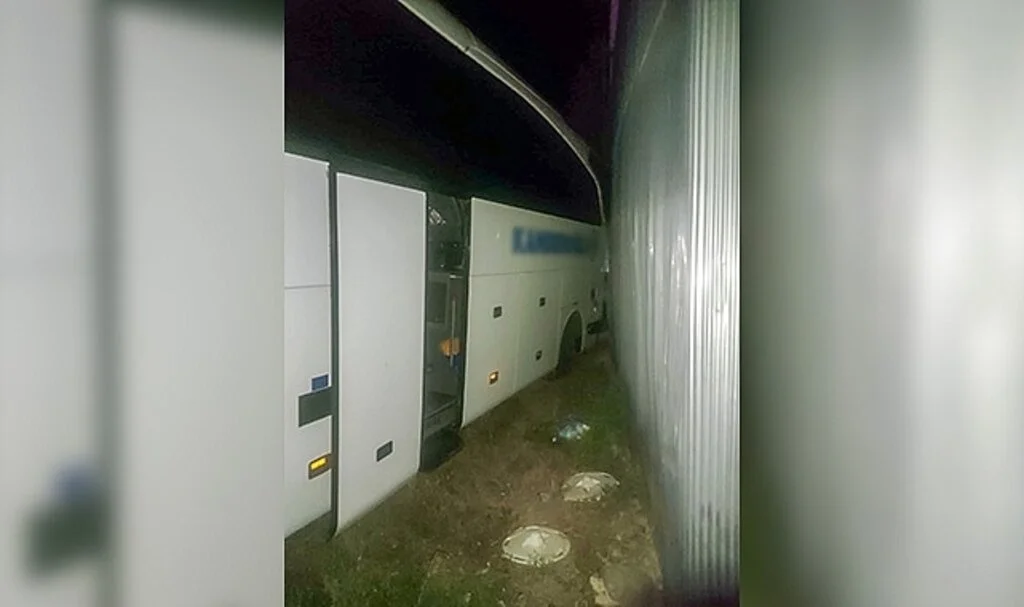 Yolcu otobüsü köpeğe çarpmamak için kaza yaptı: 6 yaralı