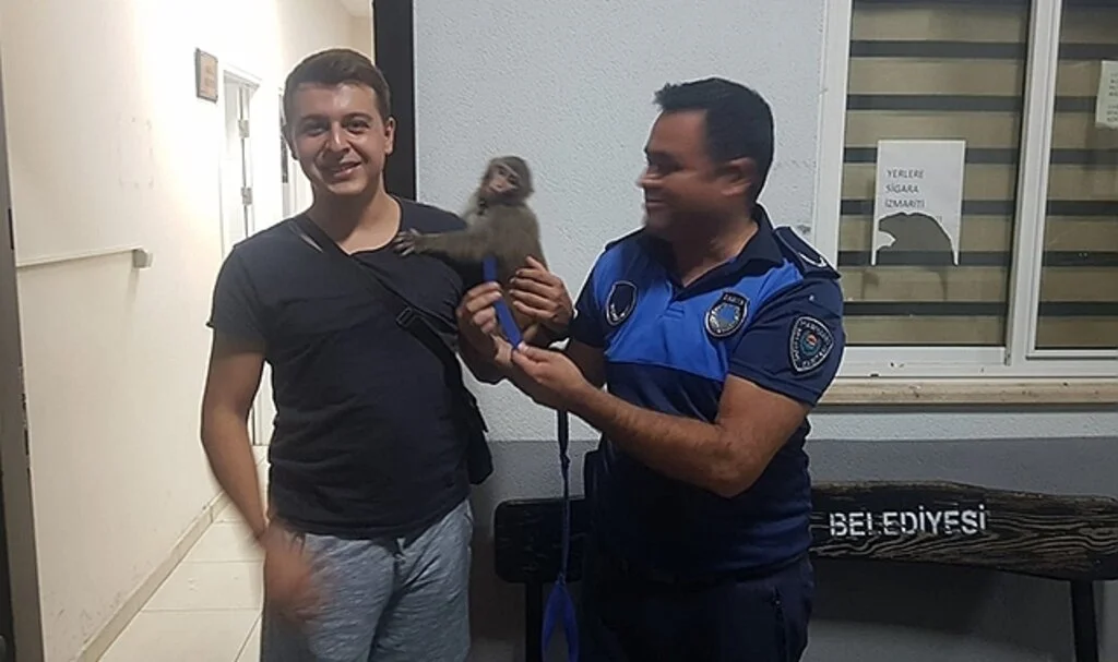 Zabıtanın dikkati Rocco’yu kurtardı