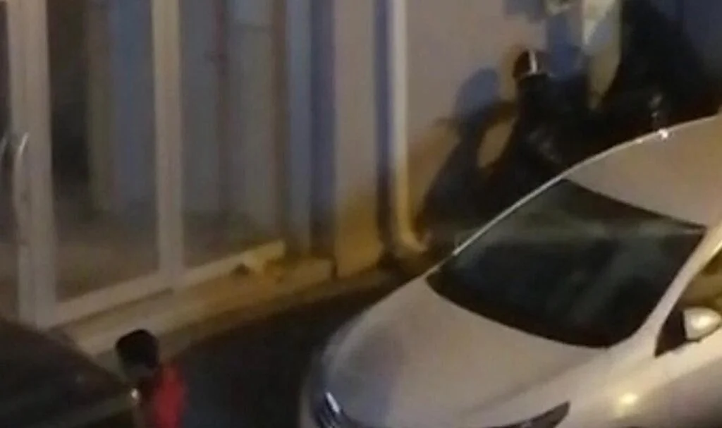 Acemi hırsızlar kameraya yakalandı