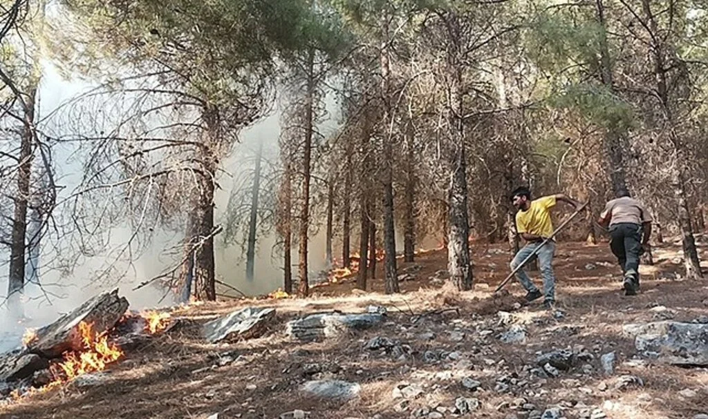 Adıyaman’da orman yangını başladı