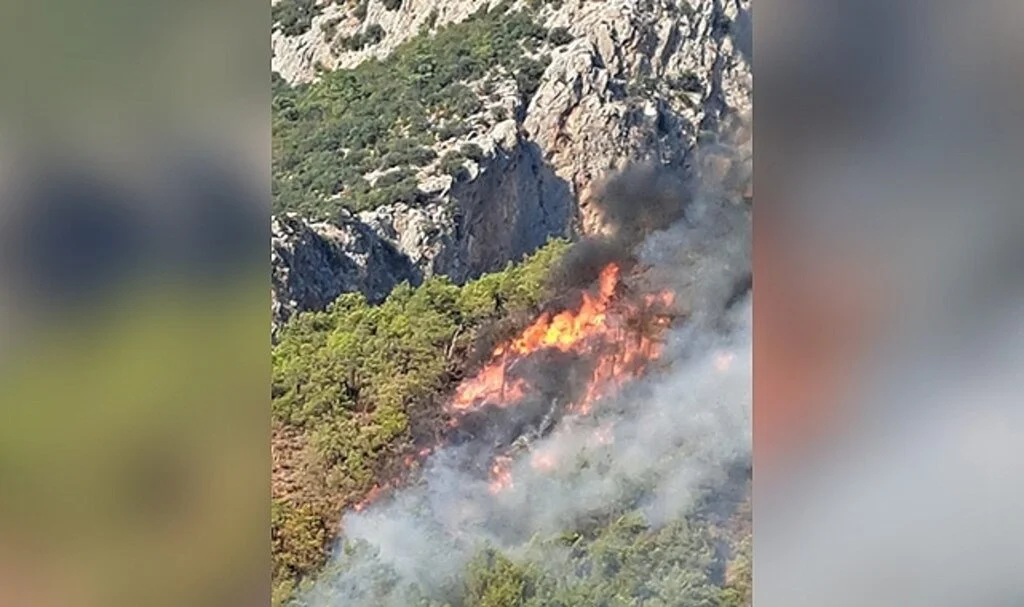 Adrasan'daki orman yangını kontrol altına alındı