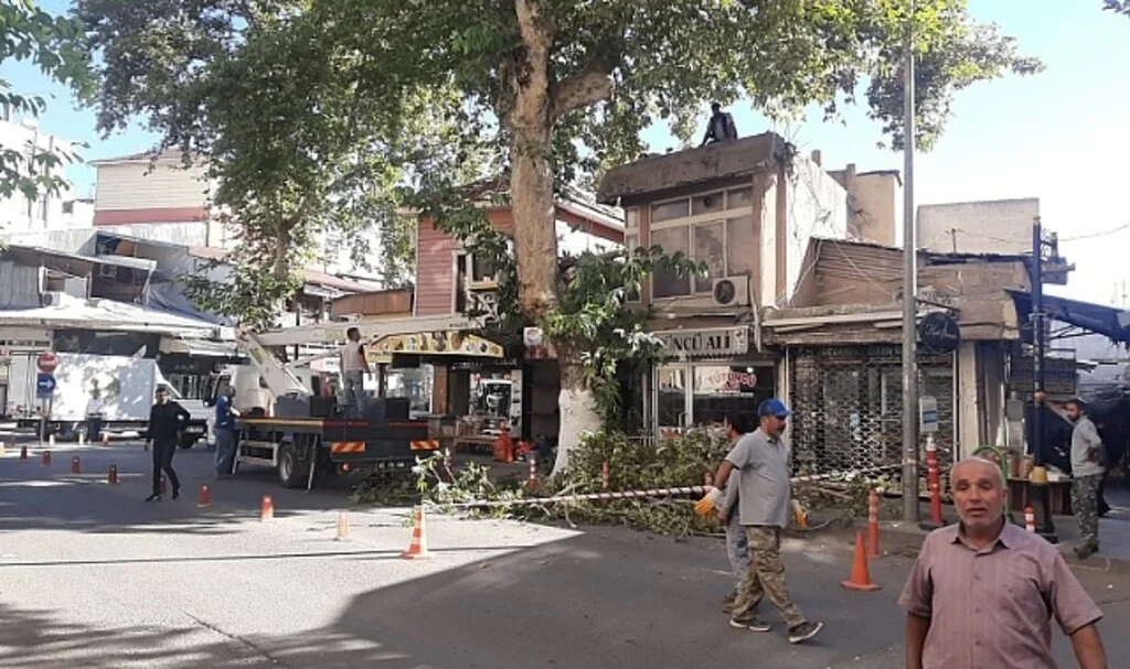 Ağaç işyerinin üzerine düştü