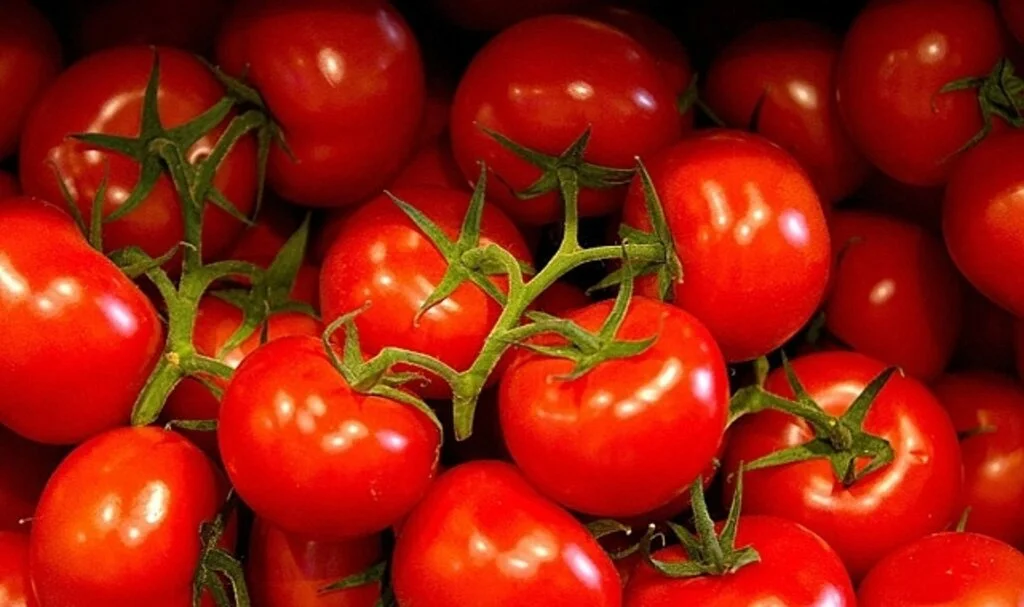 Ağustos ayında en çok domatesin fiyatı düştü