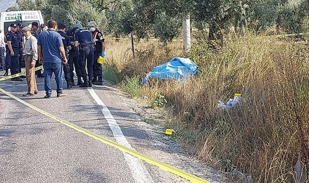 Akşam eve dönmedi, yol kenarında ölü bulundu