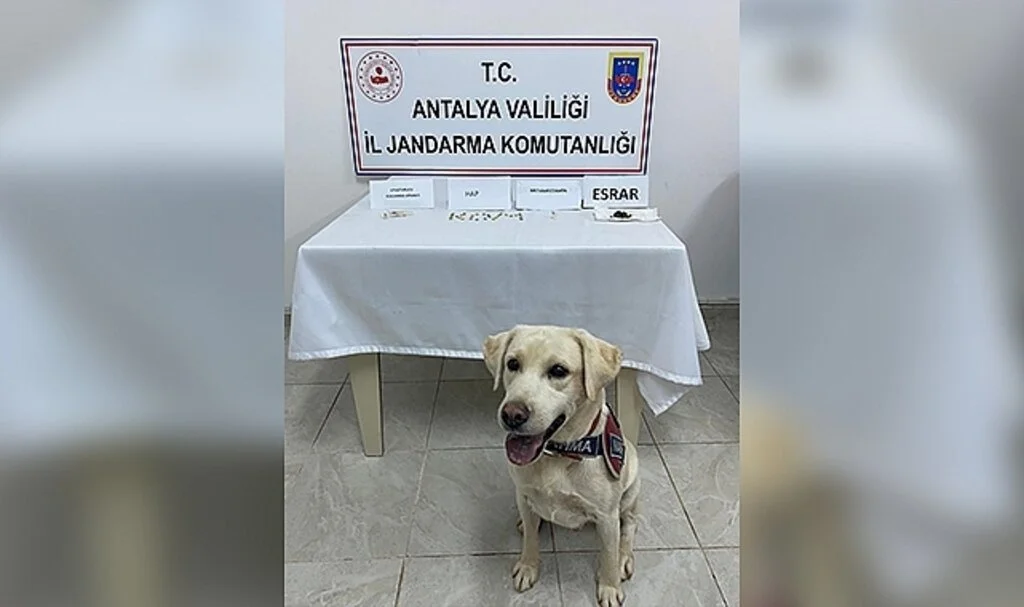 Alanya’da jandarmanın durdurduğu araçta uyuşturucu madde ele geçirildi