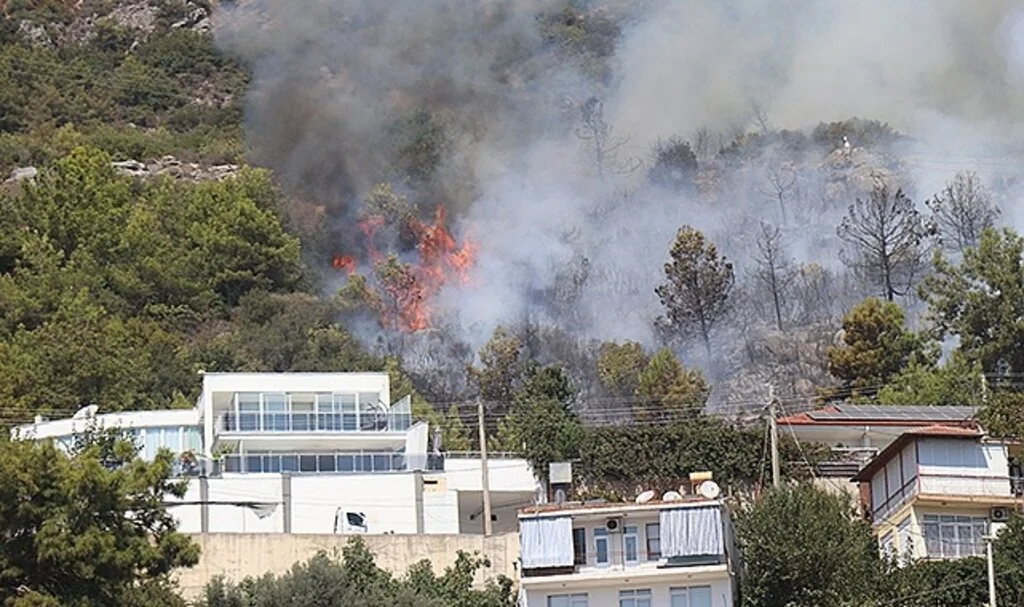 Alanya’da orman yangını