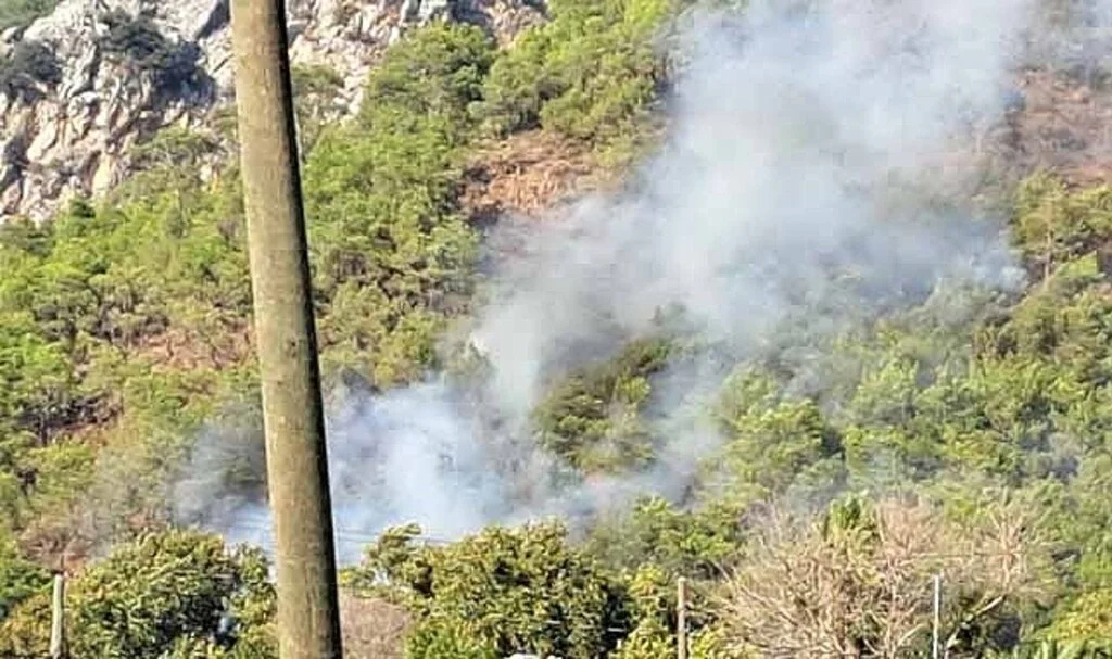 Antalya Adrasan’da orman yangını