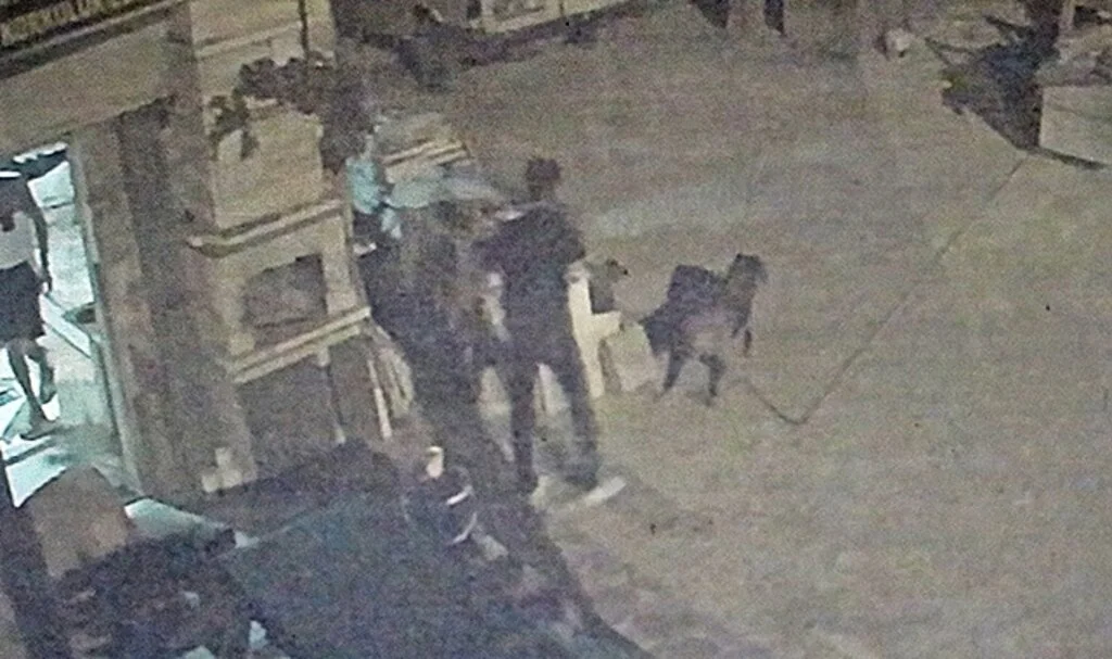 Antalya'da akıl almaz olay, tartıştığı arkadaşına sinirlenip aynı ismi taşıyan köpeği vurdu