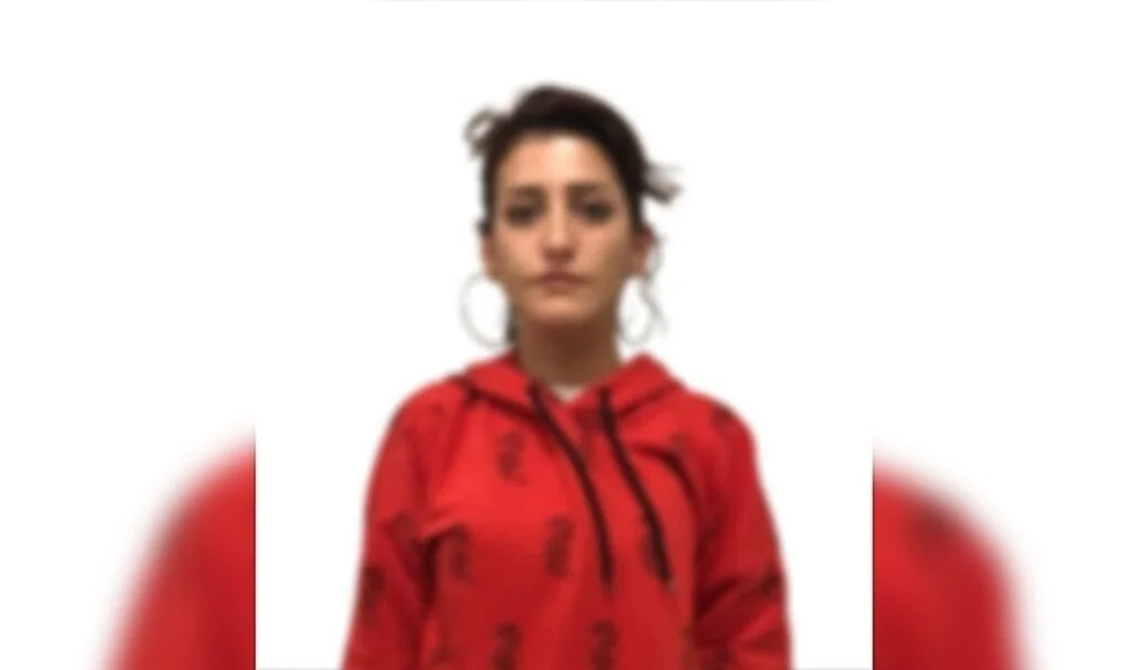 Aranan terör örgütü PKK üyesi kadın İstanbul’da yakalandı