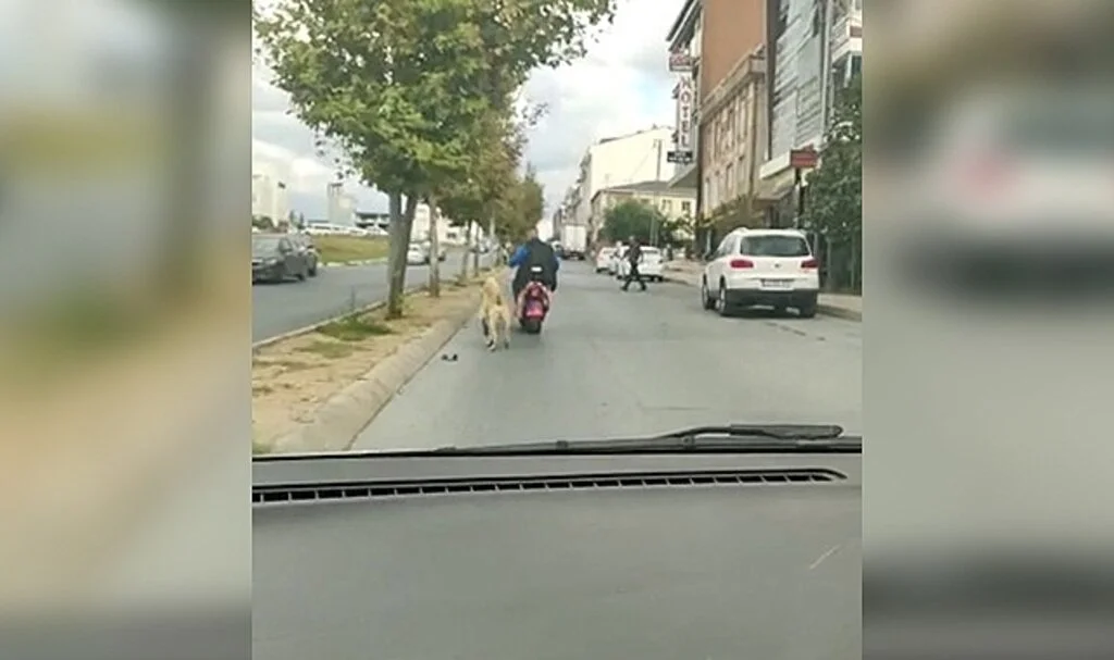 Arnavutköy’de köpeği motosikletine bağlayarak götüren şahsa tepki