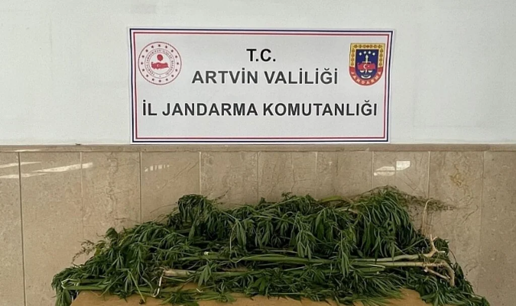Artvin'de esrar operasyonu