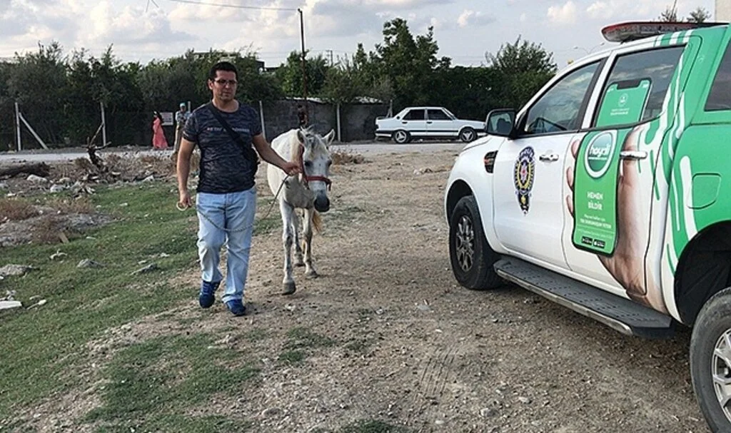 Atını darp eden adam gözaltına alındı