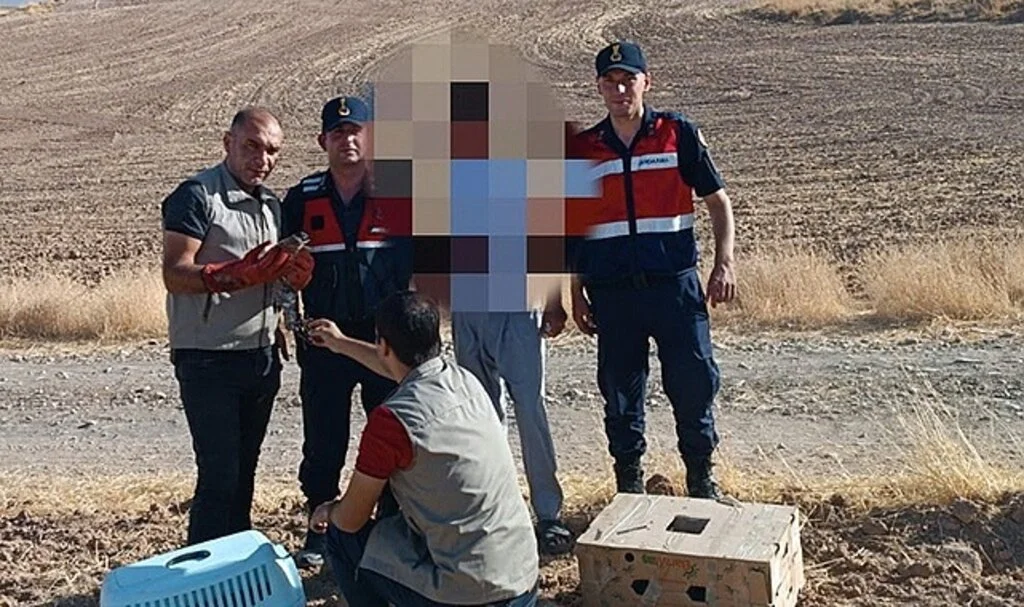 Atmaca yöntemiyle güvercin yakalayan şahıslar ekiplerden kaçamadı