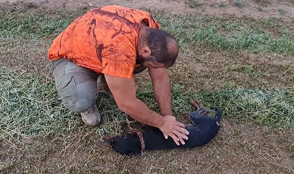 Avcı can dostunu köpeğini kalp masajı yaparak hayata döndürdü