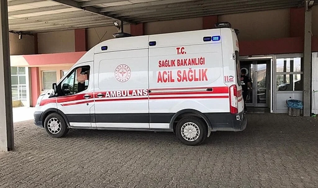 Ayı çobana saldırdı