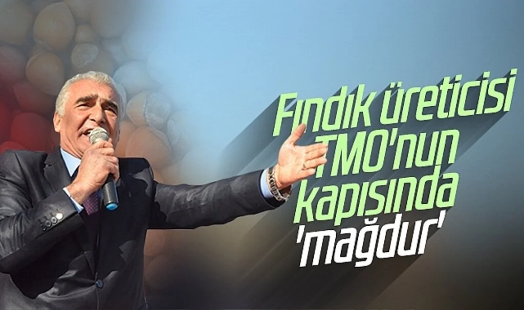 Ayvacık Ziraat Odası Başkanı Erdal Avcı: Fındık üreticisi TMO'nun kapısında 'mağdur'