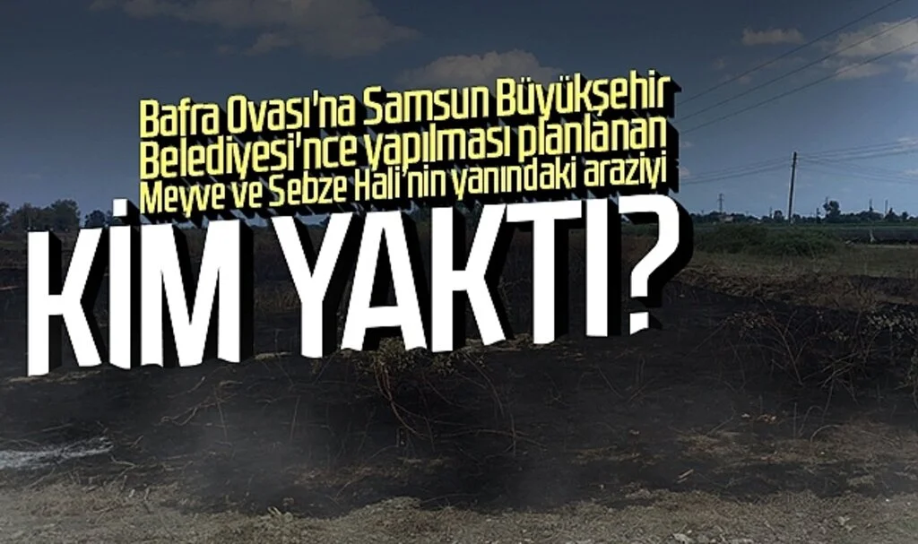 Bafra Ovası'na Samsun Büyükşehir Belediyesi'nce yapılması planlanan Meyve ve Sebze Hali projesinin yanındaki arazi yakıldı