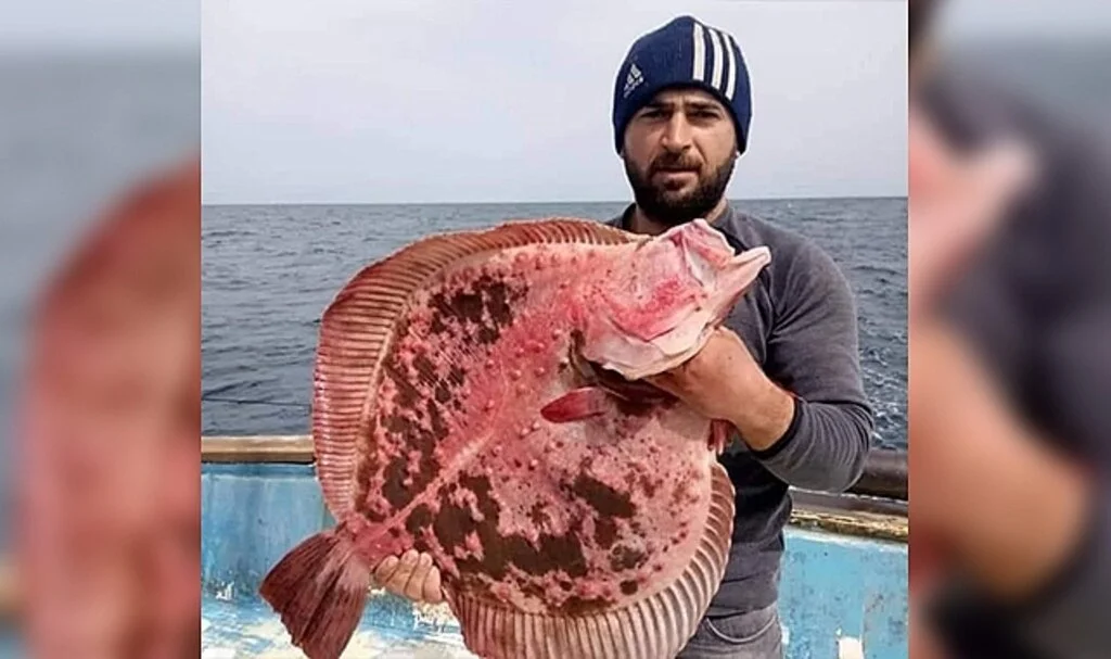Balık tutmak için teknesiyle denize açılan balıkçı kayboldu