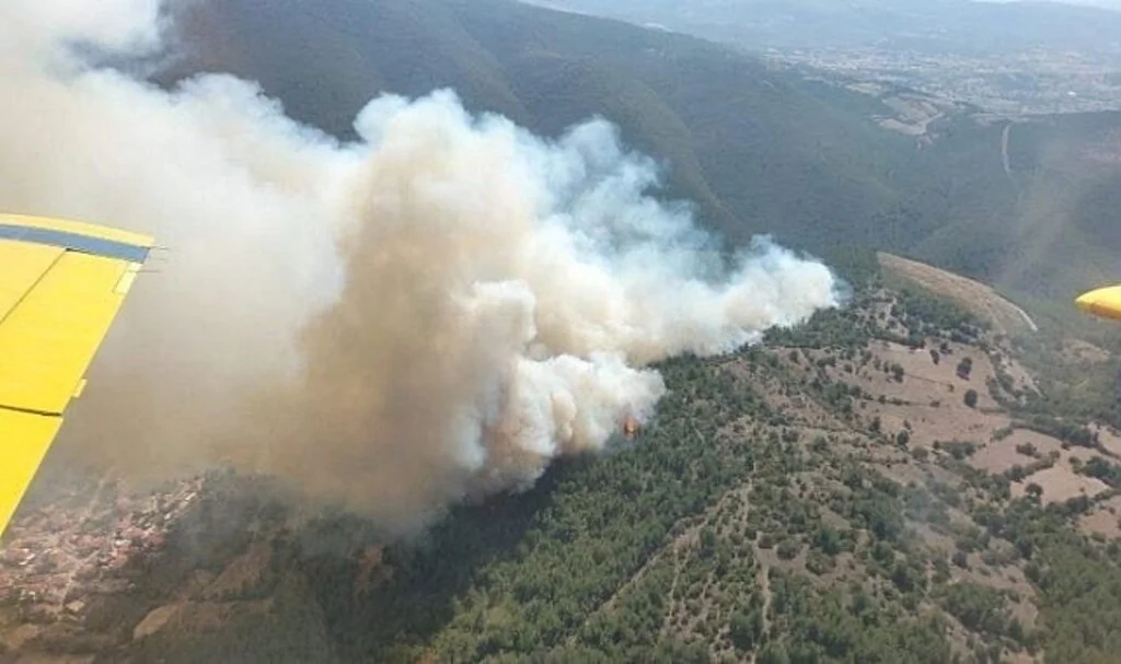 Balıkesir'de orman yangını kontrol altında