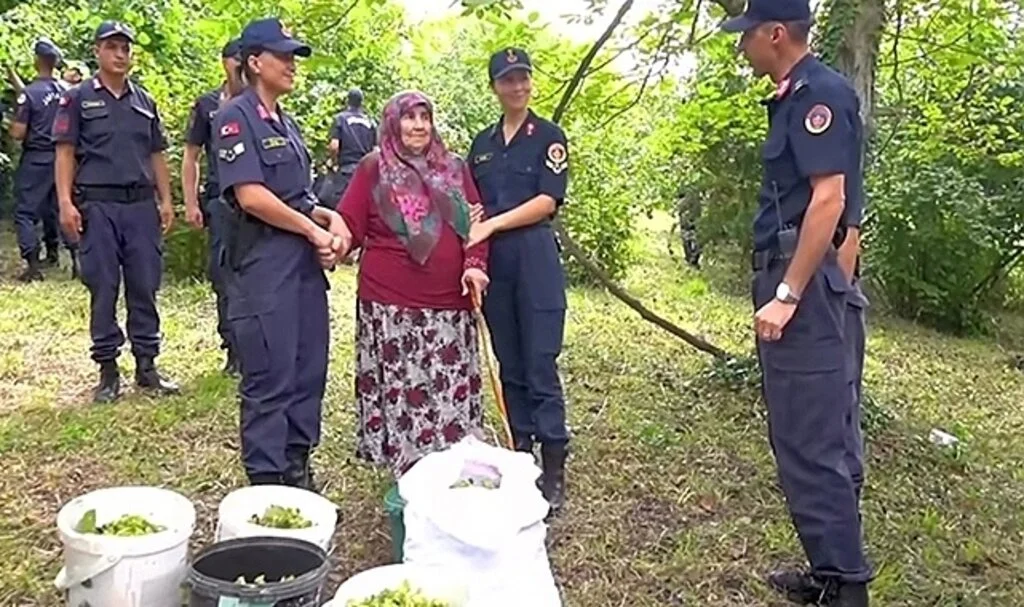 Bartın'da jandarma şehit annesinin fındıklarını topladı