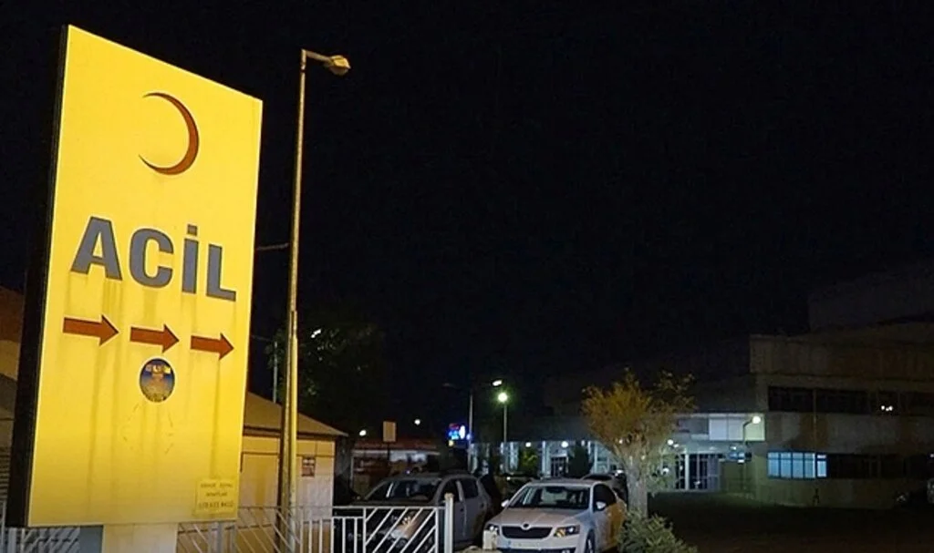 Bingöl'de yine ayı saldırısı: Yaralanan çoban hastaneye kaldırıldı