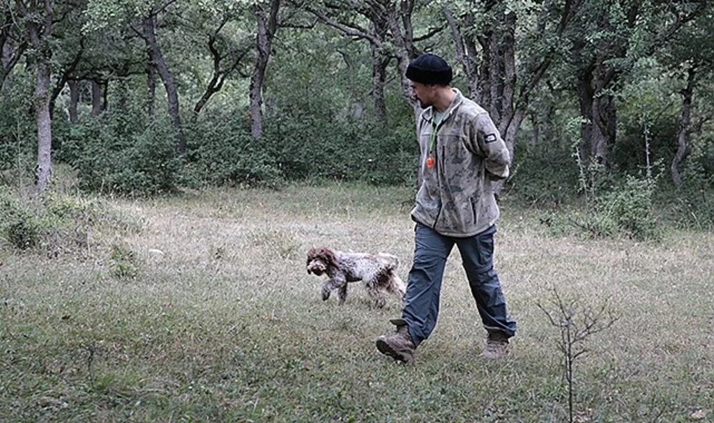 Bolu'da üniversite öğrencisi eğitimli köpekle trüf mantarı arıyor