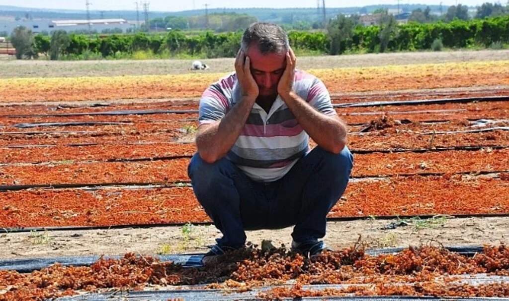 Bütün emekler bir günde boşa gitti