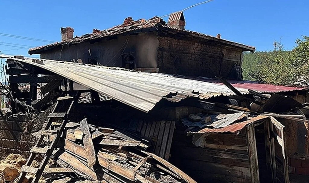 Çanakkale'de köyde çıkan yangında 26 hayvan telef oldu