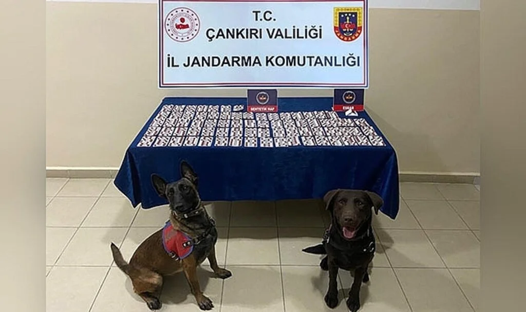 Çankırı’da bin 14 adet sentetik hap ele geçirildi: 1 tutuklama