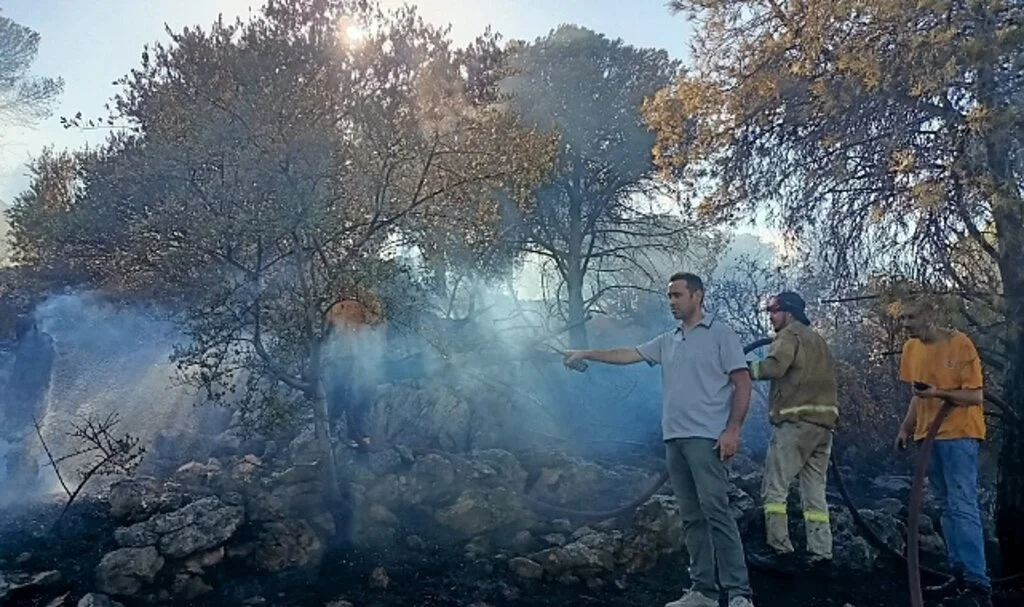 Çeşme yangını kontrol altında