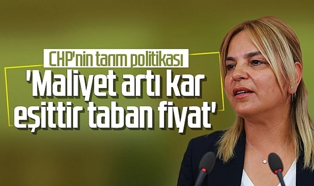 CHP'li Neslihan Hancıoğlu:'CHP'nin tarım politikası, maliyet artı kar eşittir taban fiyat'
