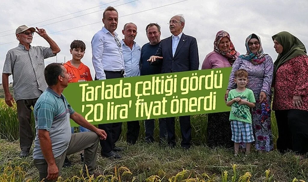CHP Lideri Kılıçdaroğlu, tarlada çeltiği gördü '20 lira' fiyat önerdi